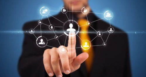 康皺軟件系統開發