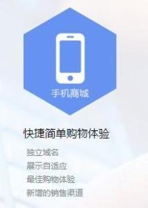 手機(jī)商城軟件的技術(shù)開(kāi)發(fā)與銷(xiāo)售